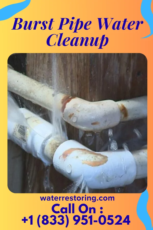 Burst Pipe Water Cleanup in Bethlehem, MS