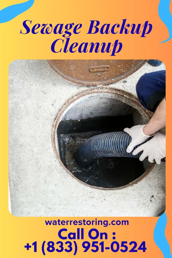 Sewage Backup Cleanup in Bethlehem, MS